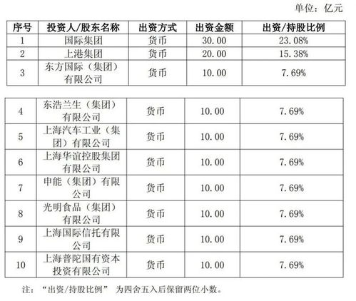上海新設國企聚焦信息咨詢服務，打造數字化轉型新引擎
